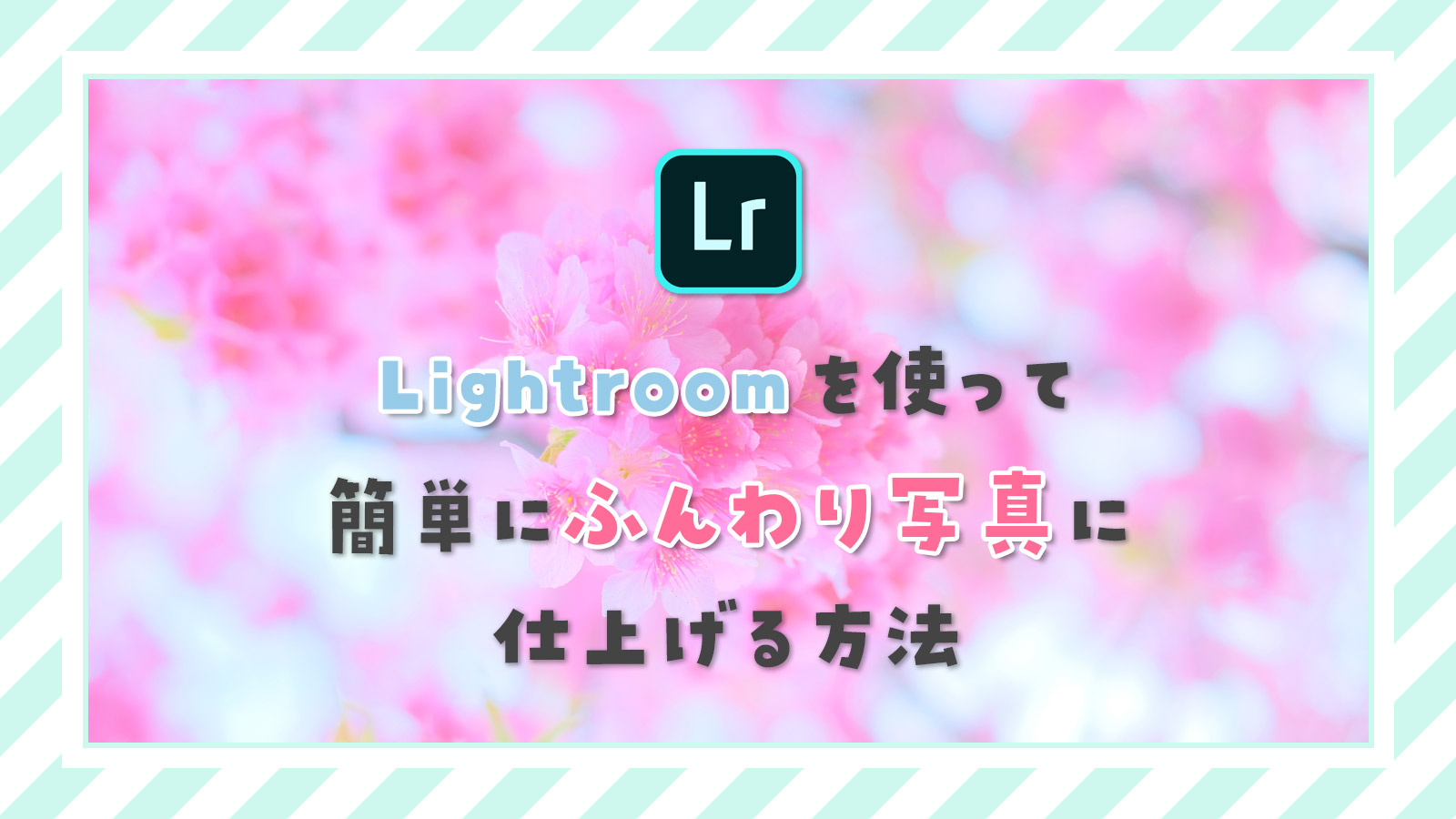 レタッチ 加工 アプリ Lightroom を使ってスマホのみで簡単にふんわり写真に仕上げる方法を完全解説 M Style